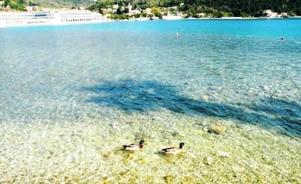 Villa Adria Slano Dış mekan fotoğraf